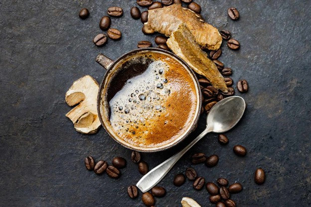 Ancient Wisdom, Modern Power - The Timeless Benefits of Medicinal Mushrooms