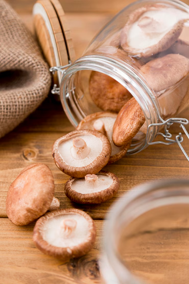 7 Reasons Why the Best Mushroom Supplement for Energy Should Be in Your Daily Routine